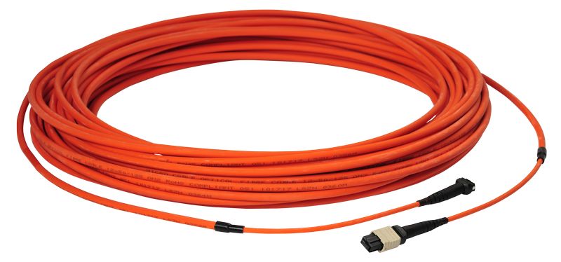 LIGHT LINK 12XOM2 MPO-MPO 175M LSZH