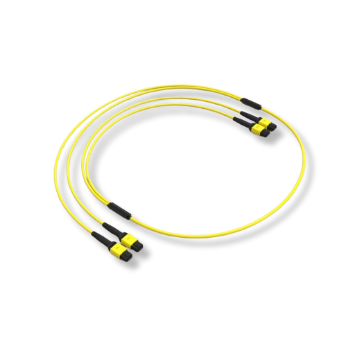 2 x MPO/F/APC-2 x MPO/F/APC 24 FIBER PATCH KABEL OS2 LOW LOSS METHOD A 10 M